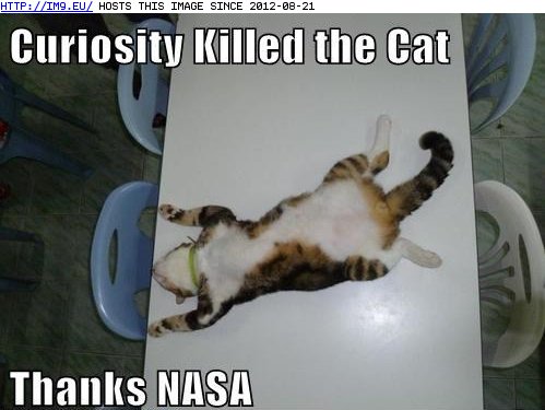 funny pictures - Lolcats: Thanks NASA (in LOLCats, LOLDogs and cute animals)