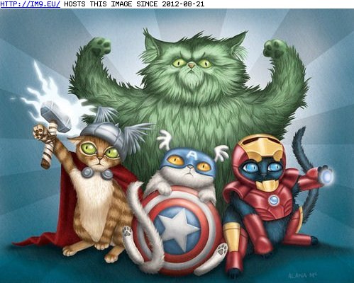funny pictures - The Cat Avengers (in LOLCats, LOLDogs and cute animals)
