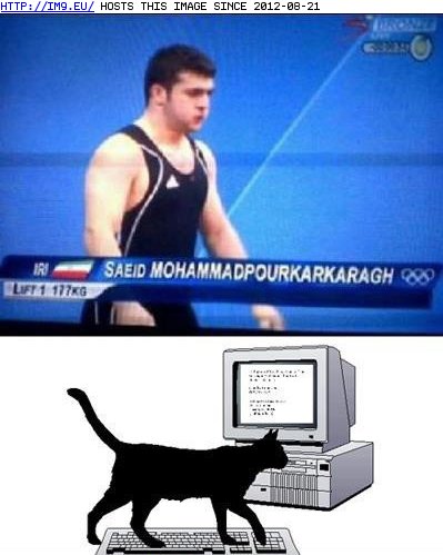 funny pictures - This is Why We Don't Let Cats Cover Major Sporting Events (in LOLCats, LOLDogs and cute animals)
