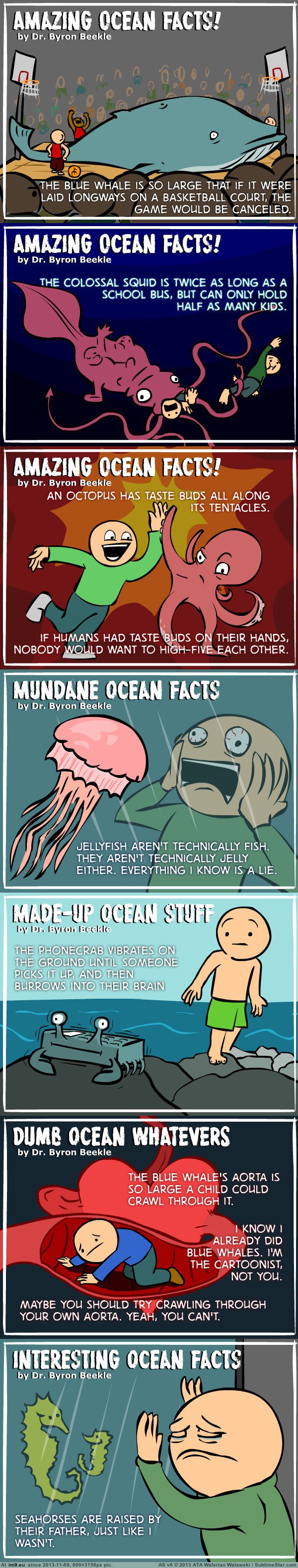 [Funny] Real Ocean Facts. Broaden your minds, motherfuckers. (in My r/FUNNY favs)
