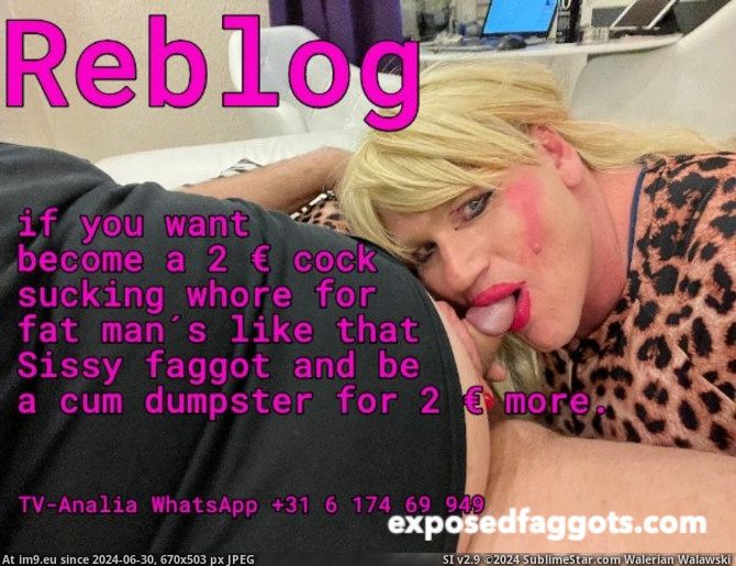 GA2xQi_WsAAvgU1 (in Analia faggot hooker)