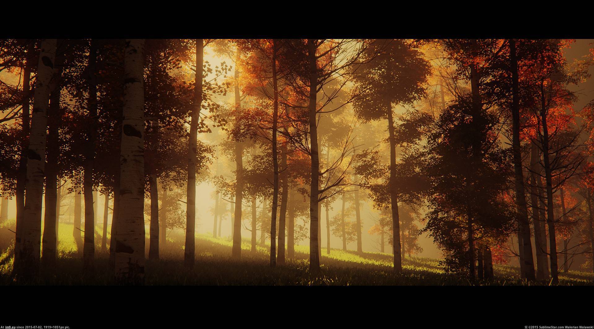 [Gaming] This is not real life. This is Unreal Engine 4. 1 (in My r/GAMING favs)