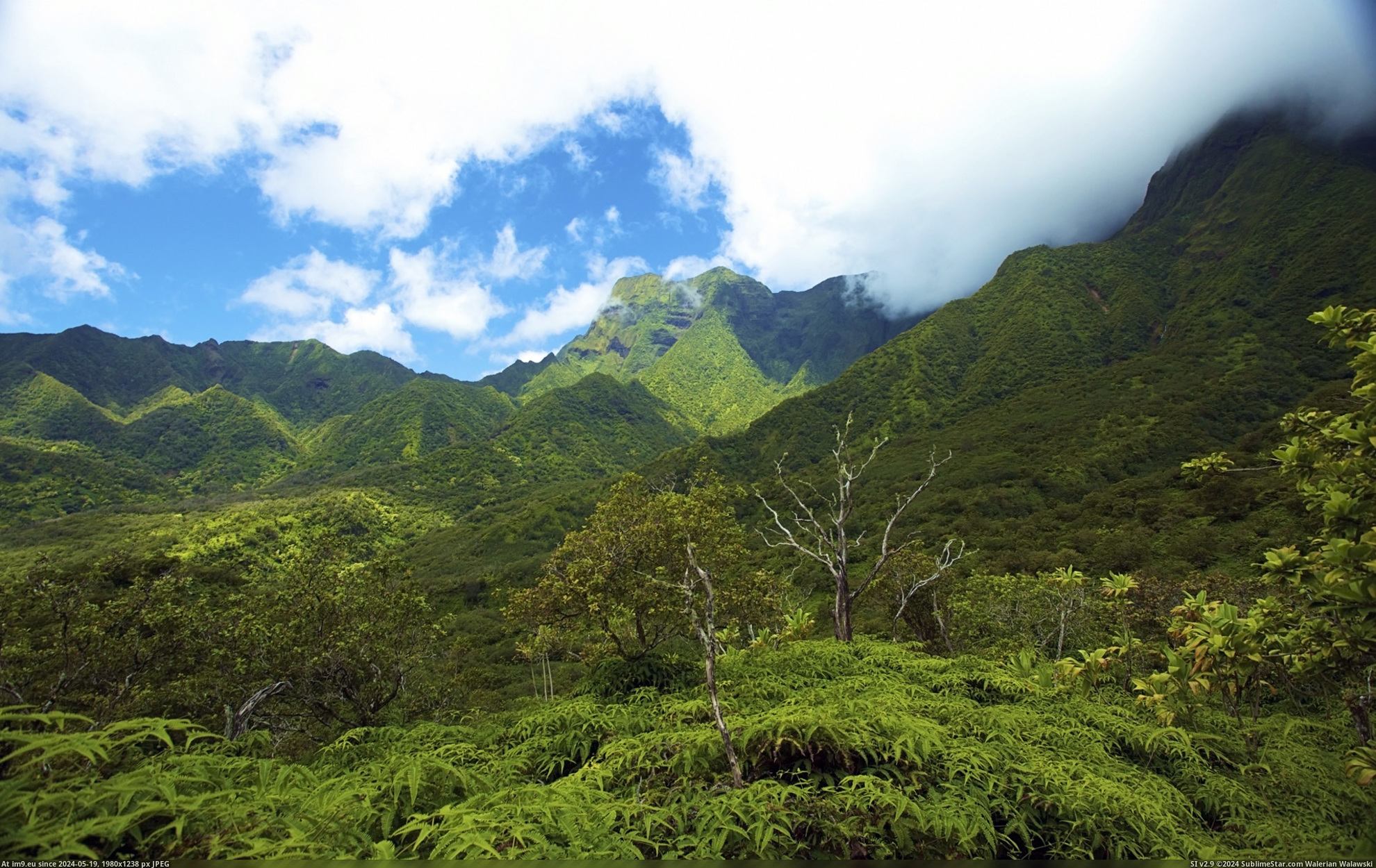 #Nature #Wallpaper #1920x1200 #Hawaii #Wide #Wallpapers HD Wallpaper hawaii_13 Pic. (Image of album Heart touching Nature Wallpaper HD))