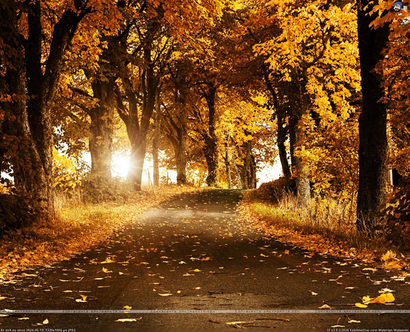 #Nature #Wallpaper #Landscapes #Wide #1920x1200 HD Wallpaper landscapes-202a Pic. (Image of album Heart touching Nature Wallpaper HD))