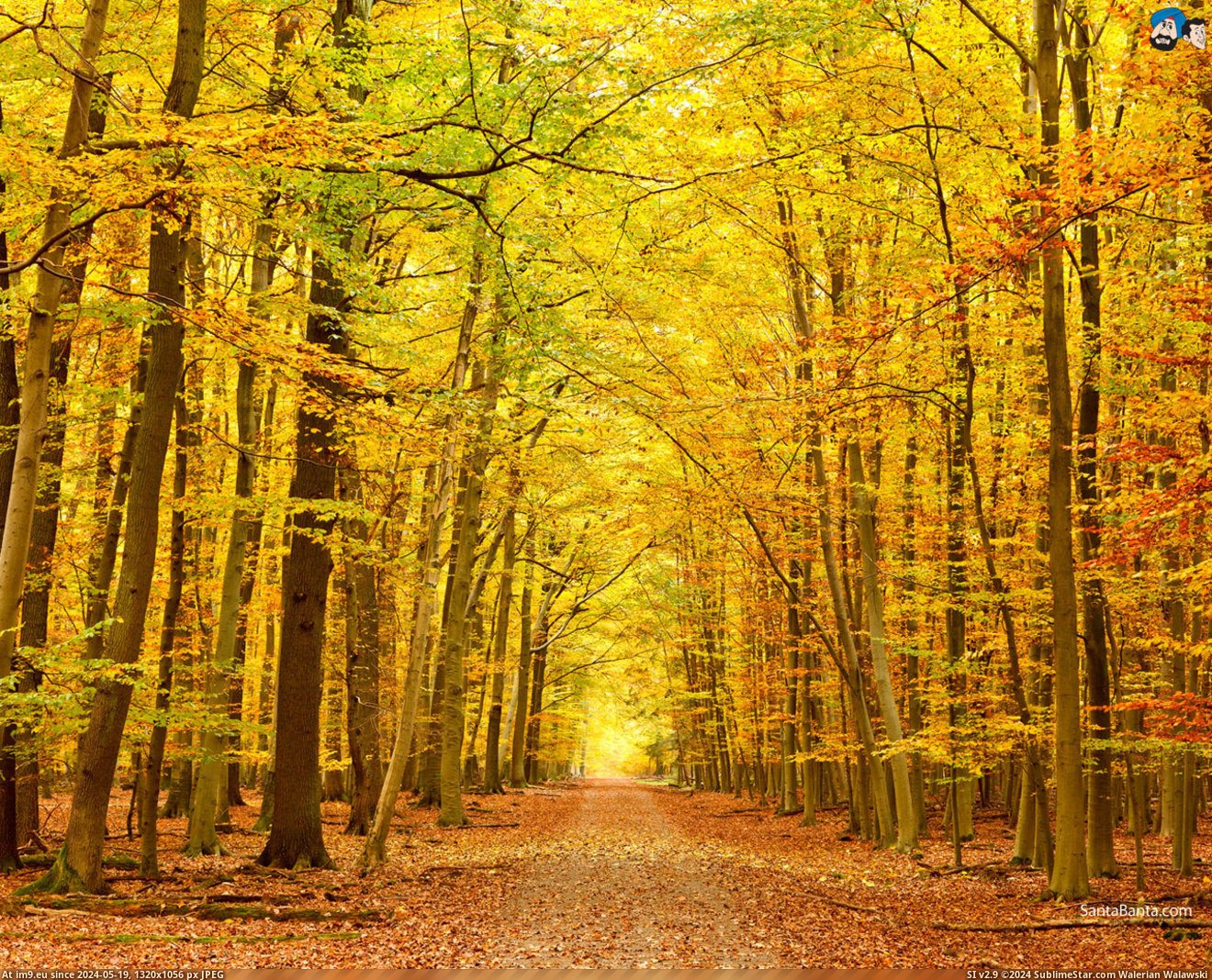 #Nature #Wallpaper #1920x1200 #Landscapes #Wide #Wallpapers HD Wallpaper landscapes-207a Pic. (Image of album Heart touching Nature Wallpaper HD))