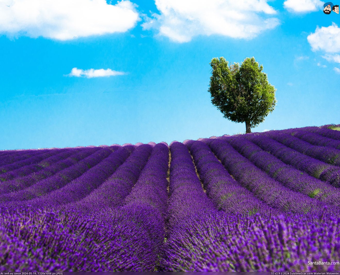 #Nature #Wallpaper #1920x1200 #Landscapes #Wide #Wallpapers HD Wallpaper landscapes-251a Pic. (Image of album Heart touching Nature Wallpaper HD))
