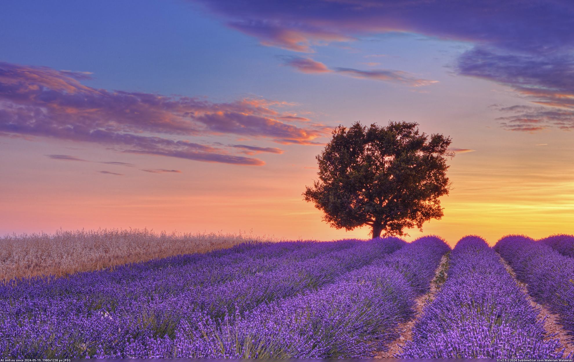 #Nature #Wide #Wallpapers #Wallpaper HD Wallpaper purpleworld7 Pic. (Image of album Heart touching Nature Wallpaper HD))