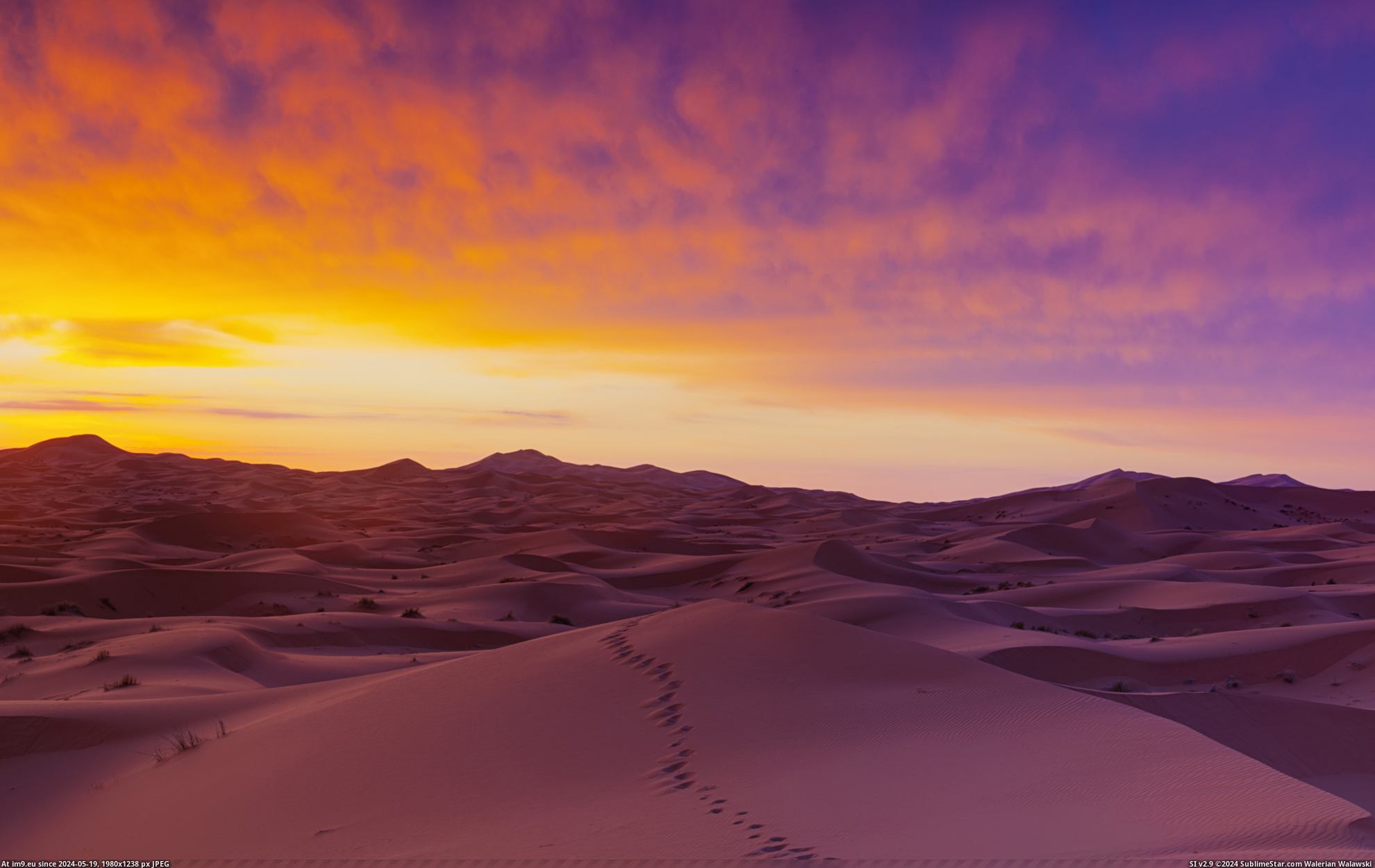 #Nature #Wallpaper #1920x1200 #Wide #Wallpapers HD Wallpaper purpleworld9 Pic. (Image of album Heart touching Nature Wallpaper HD))