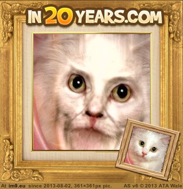 How your cat will look in 20 years (funny face) (in Rehost)