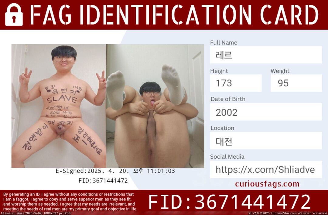 #Porn #Ass #Asian #Faggot #Korean #Gay #Twink #Fag 다운로드 Pic. (Image of album Asian chubby faggot))