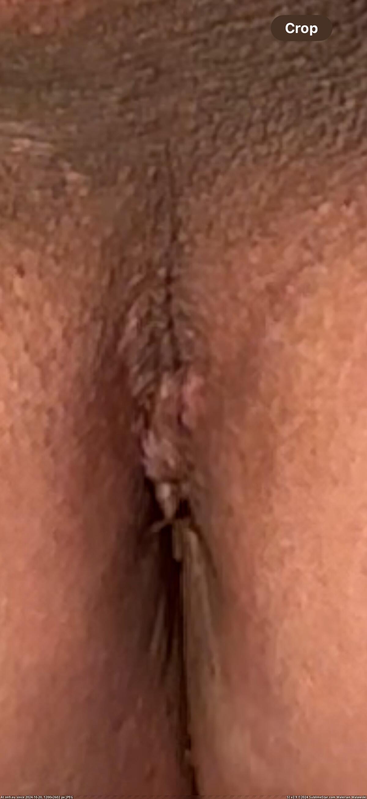 #Hardcore #Anal #Sodomy #Cum #Butt #Anus #Double #Squirt #Suck #Jizz #Jerk #Eruption IMG_1390 Pic. (Image de album Squirting penis))