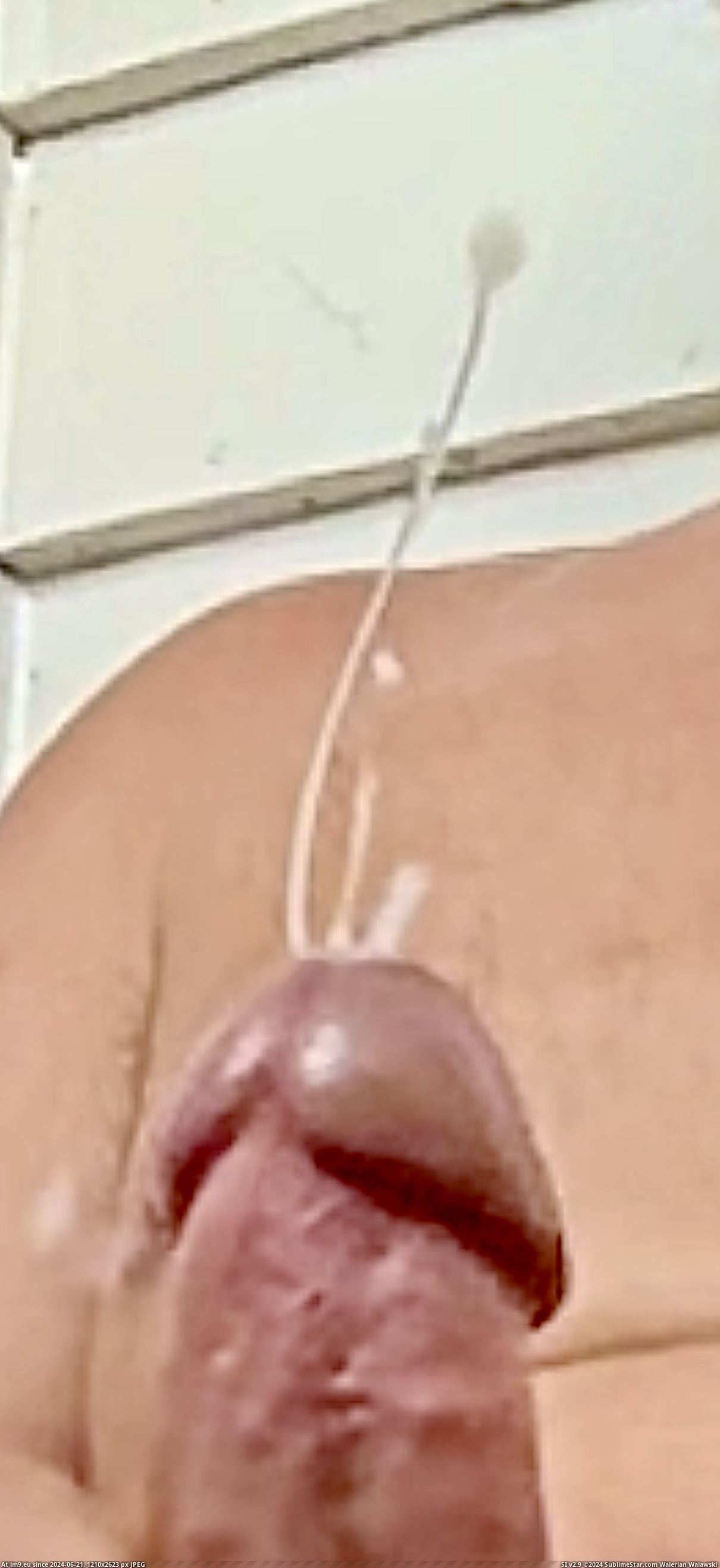 #Cum #Gay #Sperm #Asshole #Cock #Anus #Semen #Nuts #Empty #Jerk IMG_7013 Pic. (Image of album Squirting penis))