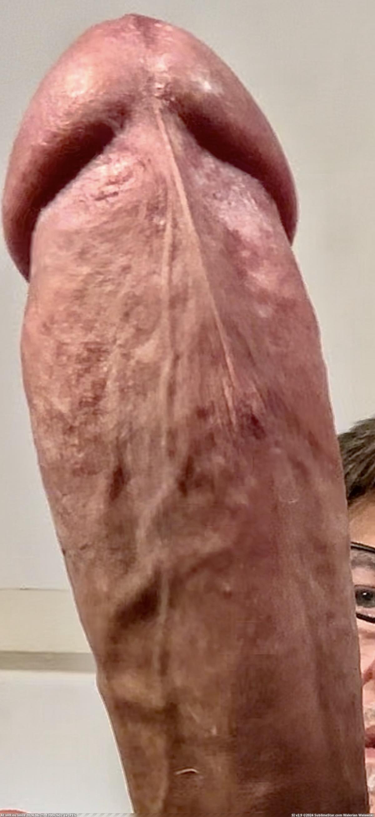 #Cum #Gay #Asshole #Sperm #Cock #Anus #Balls #Semen #Empty #Masturbate IMG_7059 Pic. (Image of album Squirting penis))
