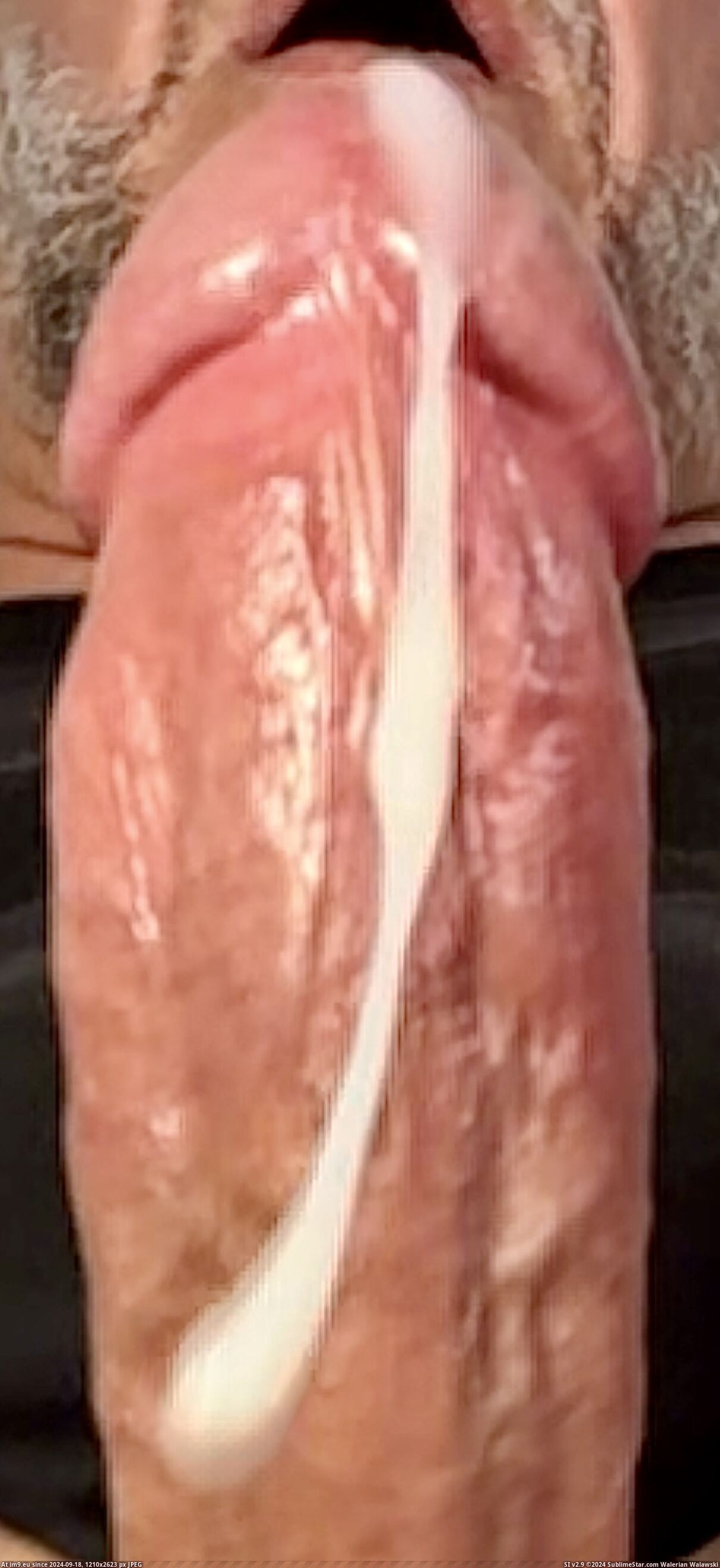 #Cum #Gay #Asshole #Cock #Masturbate #Autofellatio #Ejaculate #Spurt #Swallow #Anus #Semen #Empty IMG_9830 Pic. (Image of album Squirting penis))