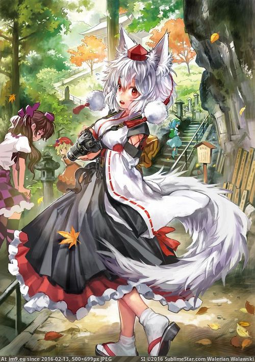 #500x699 inubashirimomiji2015101027eyecatch Pic. (Image de album jpgtest5))
