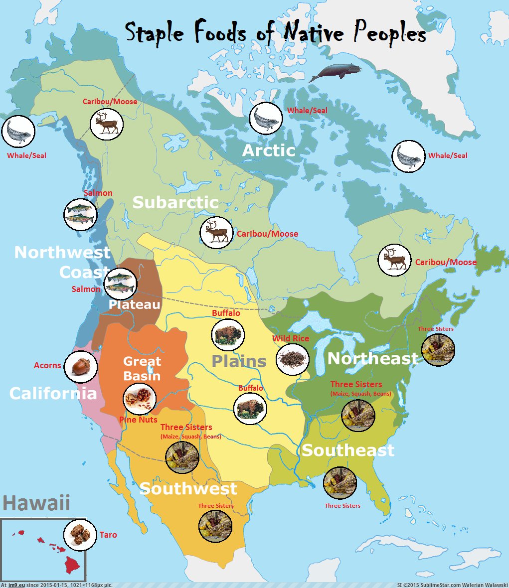 [Mapporn] Staple Foods of Native Peoples (in what is now the US and Canada)[1021x1168] (in My r/MAPS favs)