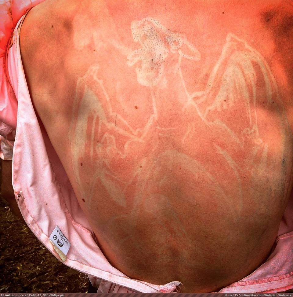 [Mildlyinteresting] Someone sun burned a Charizard on to their back at Download festival this weekend. (in My r/MILDLYINTERESTING favs)
