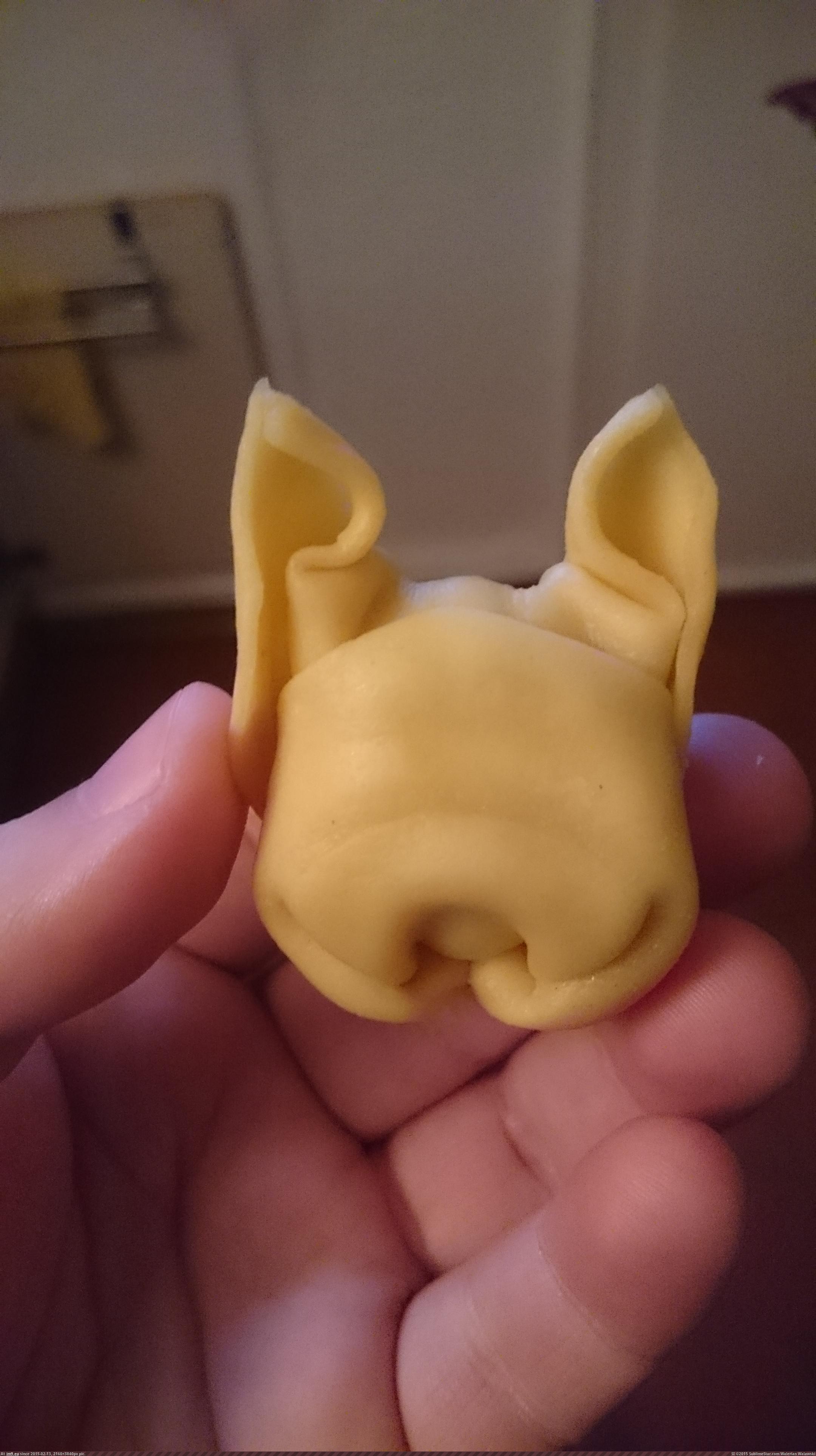 [Mildlyinteresting] These two pieces of pasta looked like the head of a french bulldog. (in My r/MILDLYINTERESTING favs)