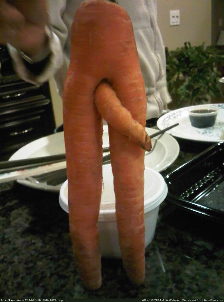 [Mildlyinteresting] This carrot looks like it has a penis on one side and a vagina on the other 1 (in My r/MILDLYINTERESTING favs)