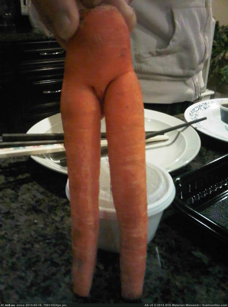 [Mildlyinteresting] This carrot looks like it has a penis on one side and a vagina on the other 2 (in My r/MILDLYINTERESTING favs)