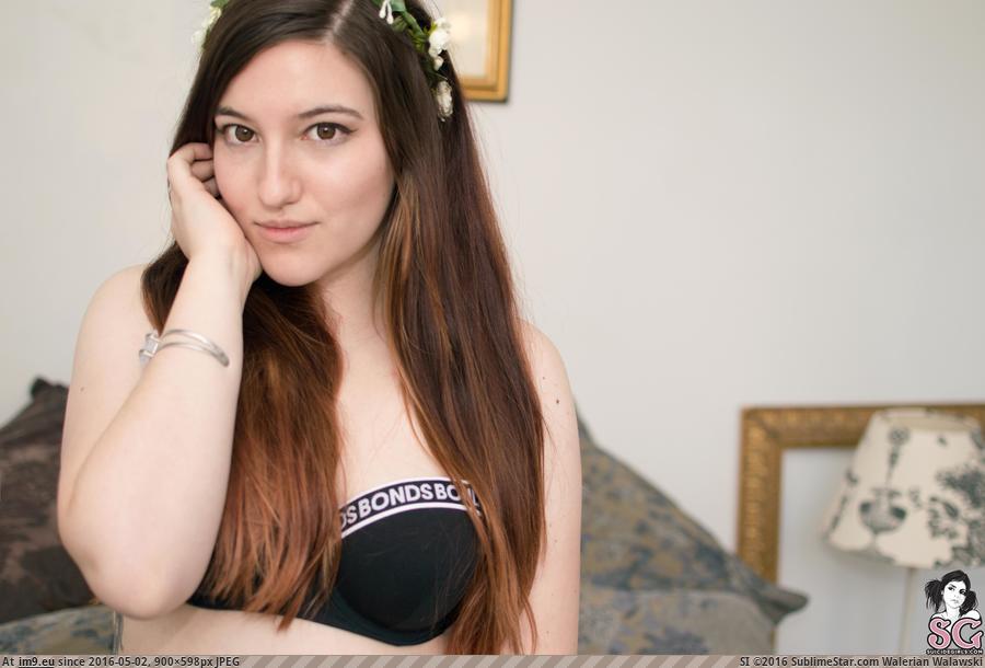 #Porn #Sexy #Boobs #Tatoo #Mouse #Softcore #Nature #Suicidegirls mouse-féedesfleurs12 Pic. (Obraz z album SuicideGirlsNow))
