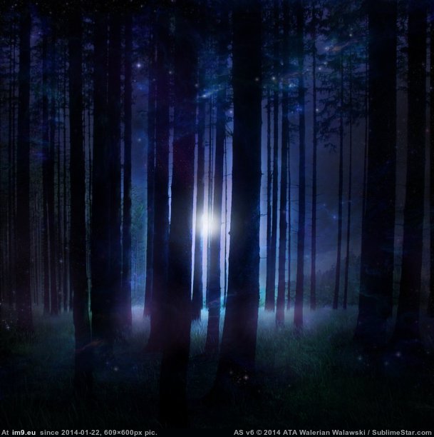 Mystic Forest (in Khim CSS)