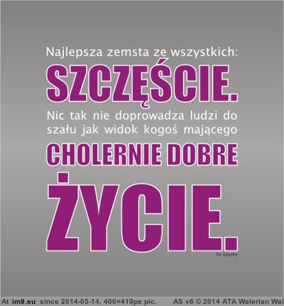 #Najlepsza #Zemsta Najlepsza Zemsta Pic. (Image of album Rehost))