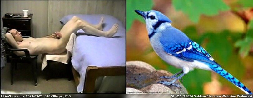 #Naked #Picture ! naked as a jaybird Pic. (Image de album Instant Upload))