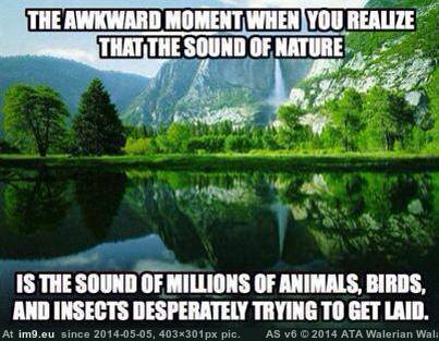 #Naturesounds naturesounds Pic. (Obraz z album Rehost))