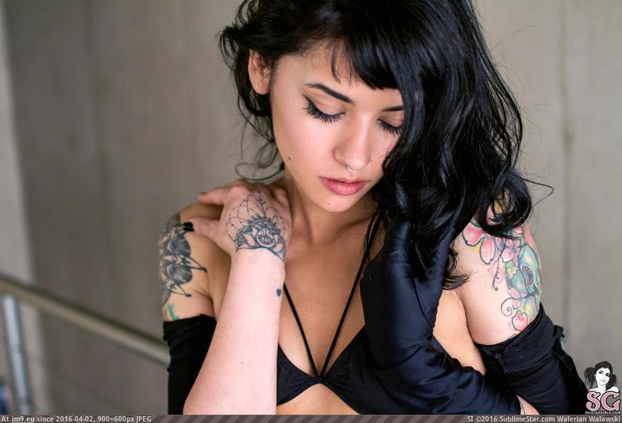 #Porn #Tits #Hot #Suicidegirls #Tatoo #Ness #Thedarksideawakens #Sexy #Boobs #Softcore ness-thedarksideawakens20 Pic. (Obraz z album SuicideGirlsNow))