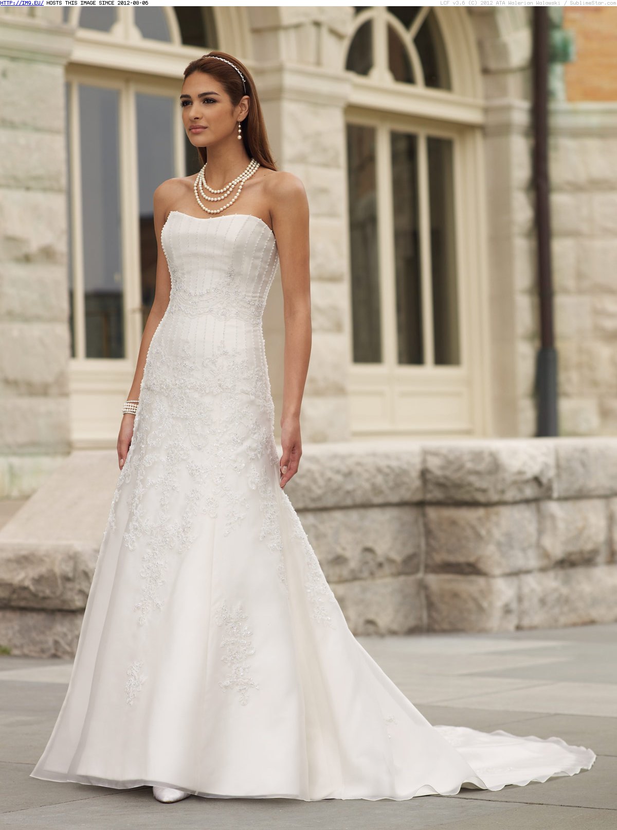 New style wedding dress 2012 (in Wedding dresses)