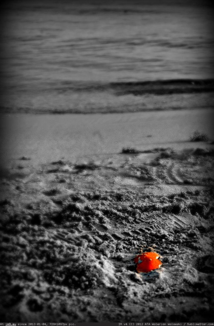 Orange Loneliness By Fanofan D56Kxyi (sad love) (in Loneliness sad pics gallery)