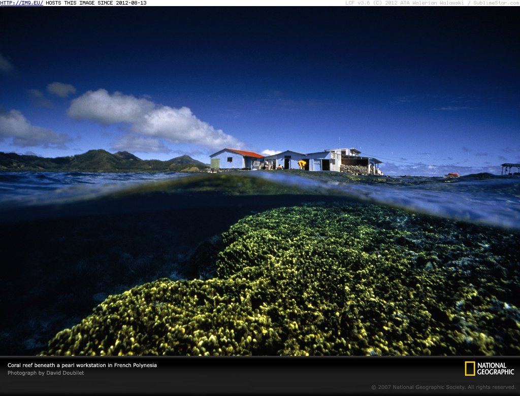 #Station #Reef #Pearl Pearl Station And Reef Pic. (Image of album National Geographic Photo Of The Day 2001-2009))