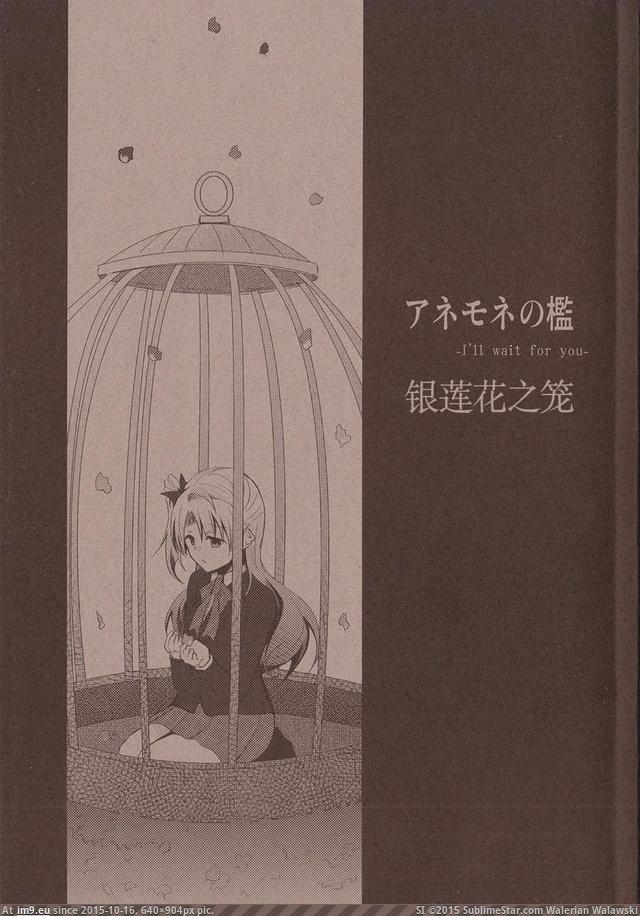 #Pic pic_001 Pic. (Image de album torscrape))