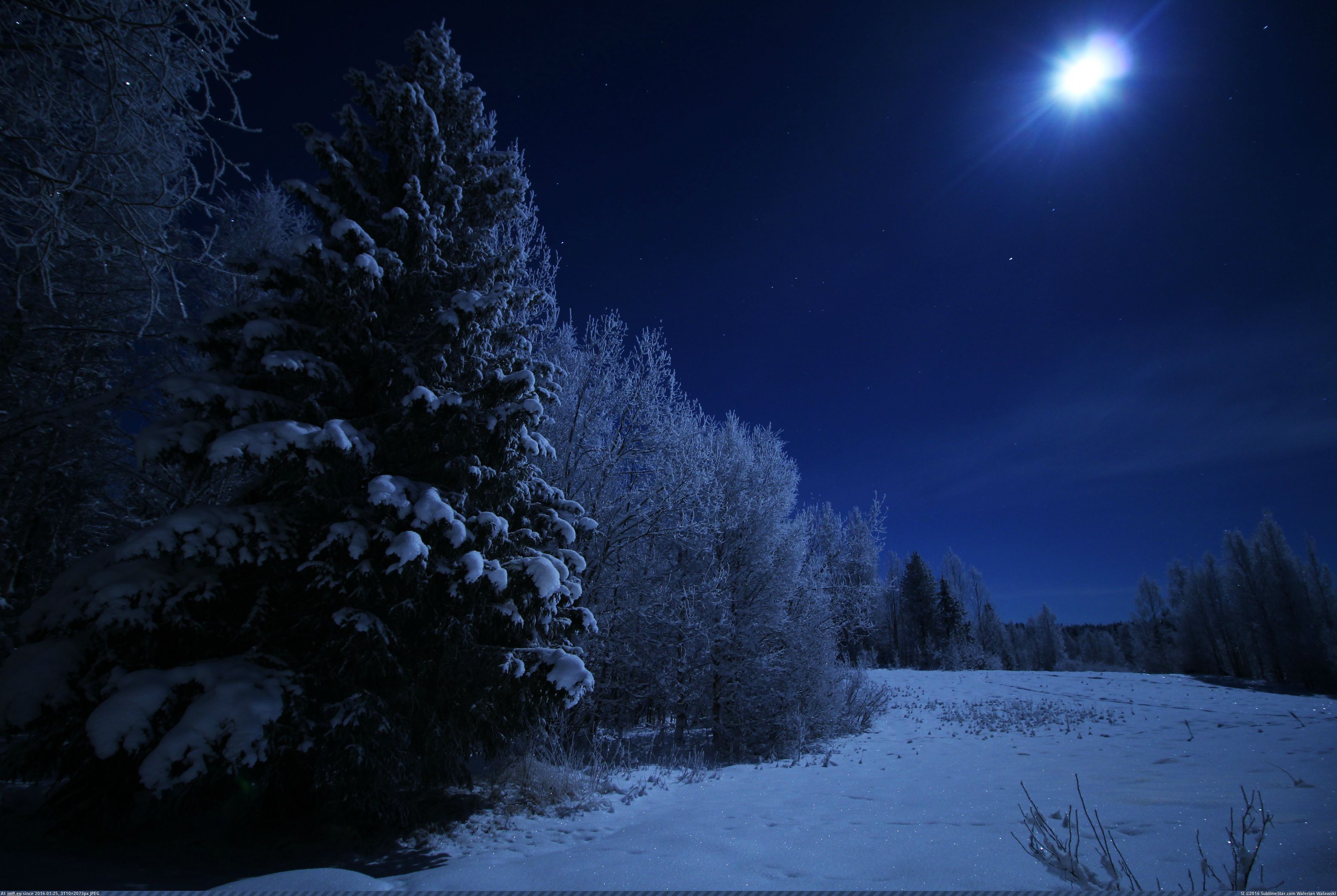 Красивая зима ночь. Зима ночь. Ночной зимний лес. Ночь зимой. Зимний лес ночью.
