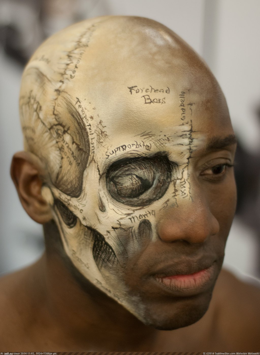  #Anatomical  [Pics] Anatomical Make Up Pic. (Obraz z album My r/PICS favs))