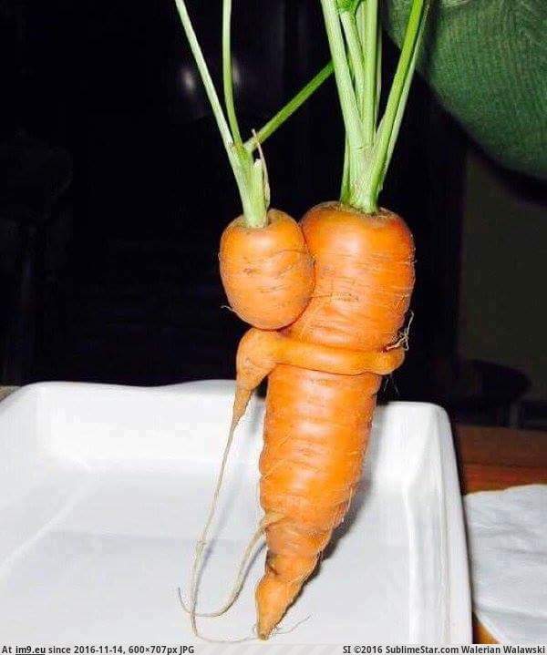 [Pics] Love is the root of all vegetables (in My r/PICS favs)