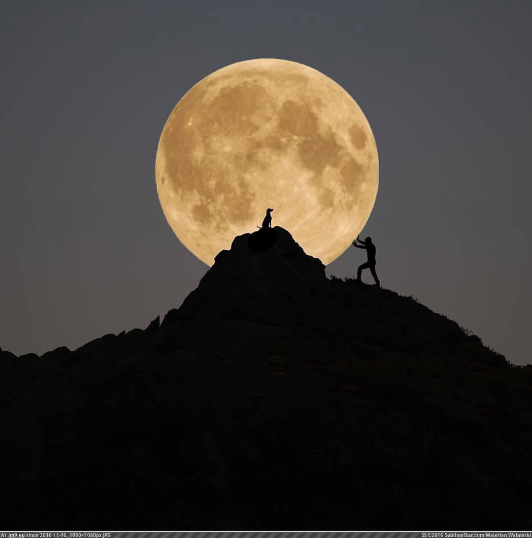 [Pics] Rolling the Super Moon up the hill to my Dog (in My r/PICS favs)