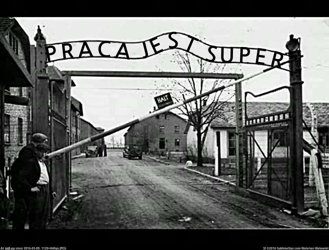 praca-jest-super (in Wojtyla666)