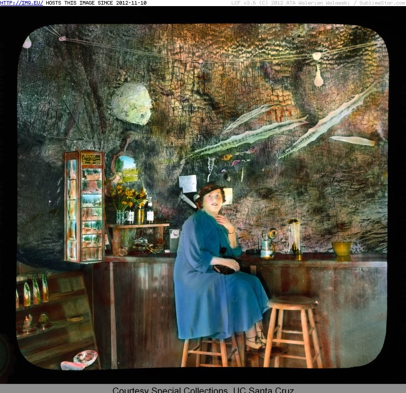 #Park #California #Tree #Interior #Monarch #Fraternal #Lilley #Quadruped #Gift #Shop #Highway #Redwood Redwood Highway, California. Fraternal Monarch, `Quadruped Tree`, in Lilley Redwood Park - interior, gift shop (1920-1940).1516 Pic. (Obraz z album Branson DeCou Stock Images))