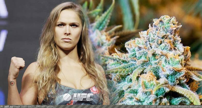 #790x411 ronda-rousey Pic. (Image de album Alternative-News.tk))