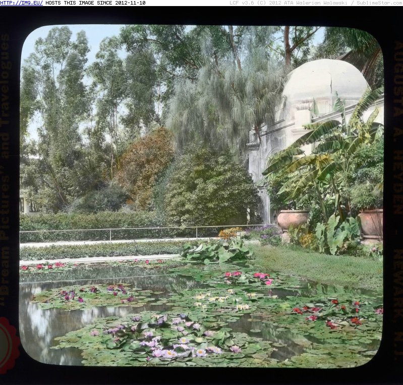 San Diego, California. Botanical Building, Balboa Park - detail of garden and pool (1915).2051 (in Branson DeCou Stock Images)