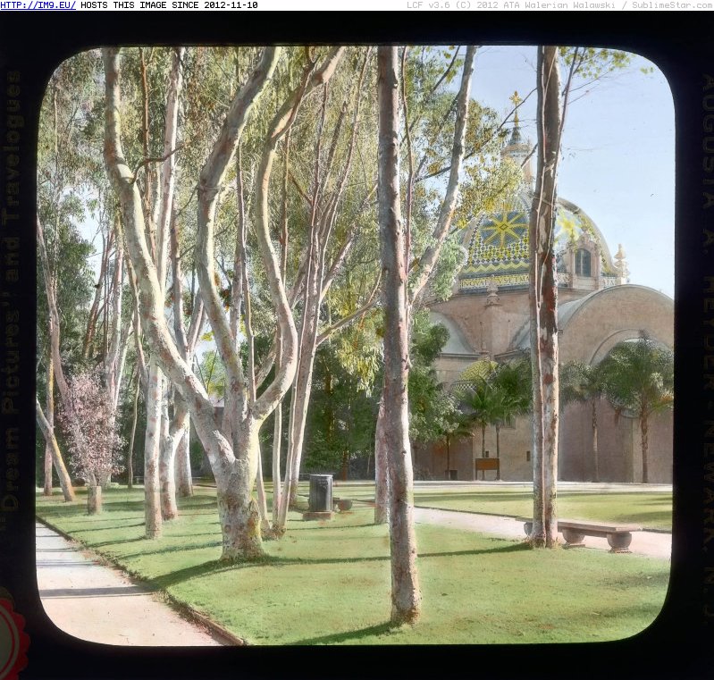 San Diego, California. California Building  (now the Museum of Man, Balboa Park) - view through trees, showing part of the tiled (in Branson DeCou Stock Images)