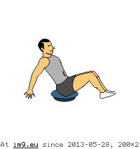 Seated Balance On Sitfit Balance Board Combo (animated) (in Core exercises animations)
