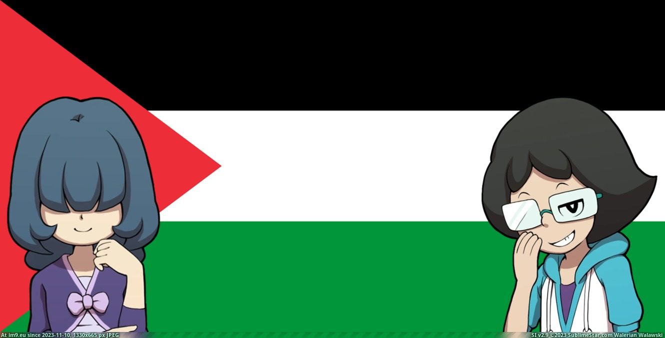 #Flag #Antizionist shizukarinapalestine Pic. (Obraz z album Your Waifu Supports Palestine))