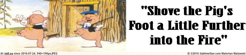 Shove the Pig’s Foot a Little Further into the Fire - Banner (in Roots Music images)