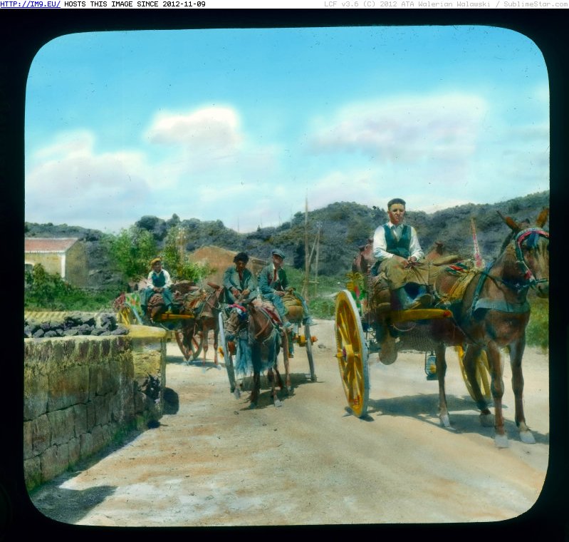 #Driving #Sicily #Farmers #Catania #Mascali #Province #Carts Sicily. Mascali, Catania province - farmers driving carts (1919-1938).2938 Pic. (Obraz z album Branson DeCou Stock Images))