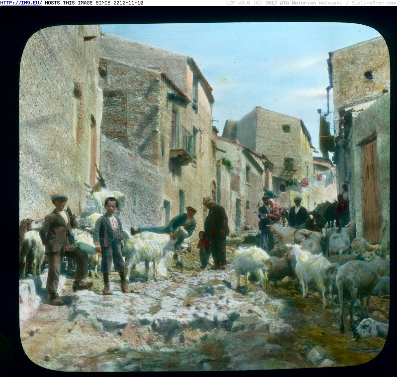 Sicily (qm) - townspeople and goats (1919-1938).2432 (in Branson DeCou Stock Images)