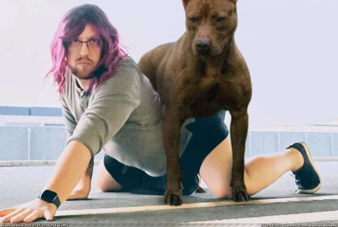 Steven Reichenberg Mounted and Knotted by Pitbul in Vallejo CA Beastiality Webslut (in Vallejo Beastiality with Steven Reichenberg)