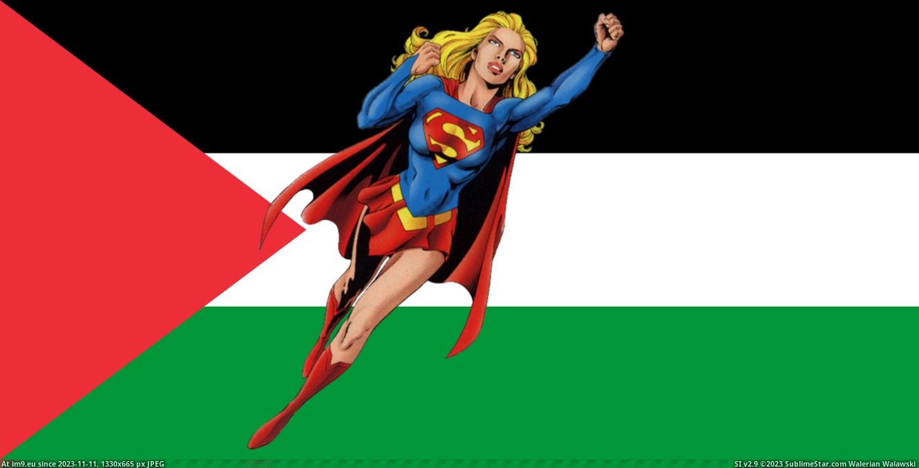 supergirlpalestine (in Your Waifu Supports Palestine)